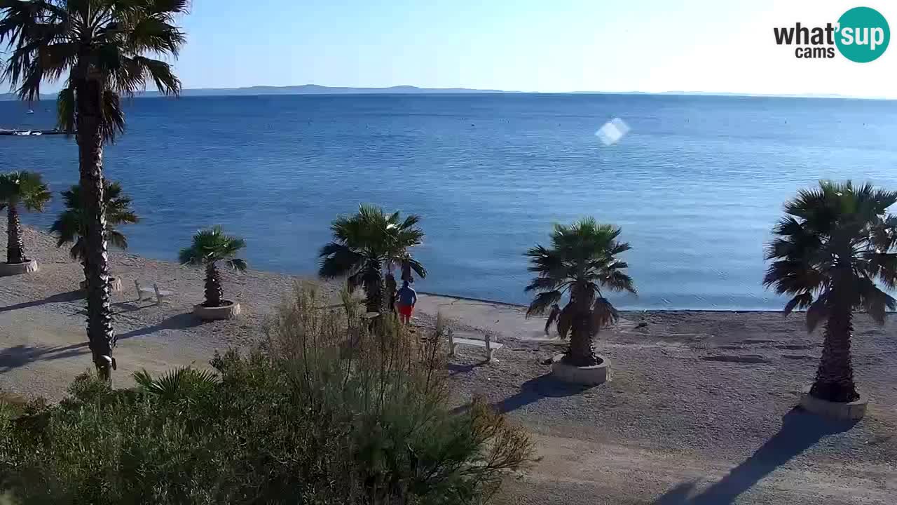 Live cam Vir – Plage