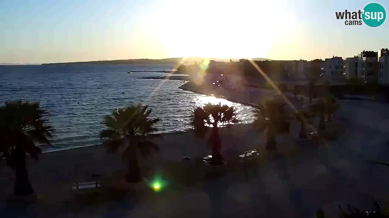Live cam Vir – Plage