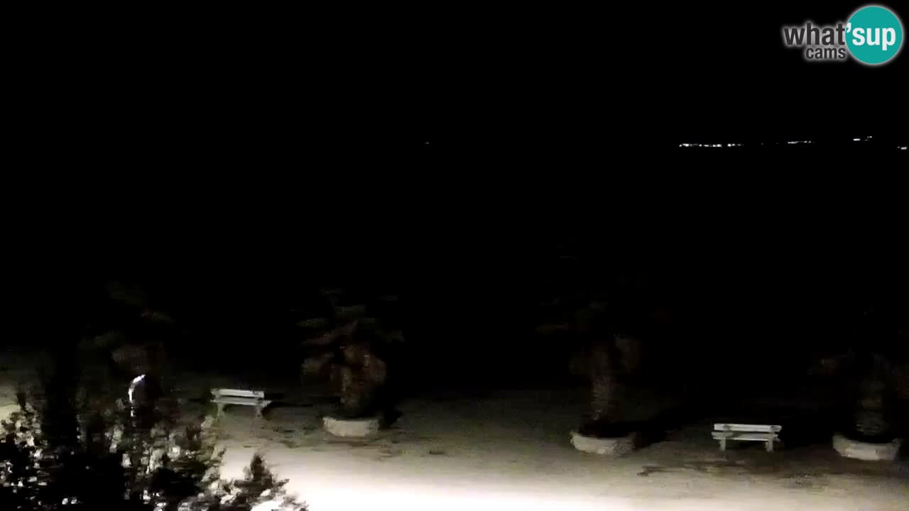 Live cam Vir – Plage