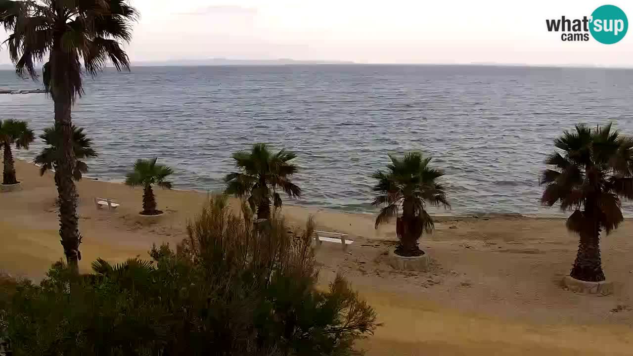 Web kamera Vir – Plaža