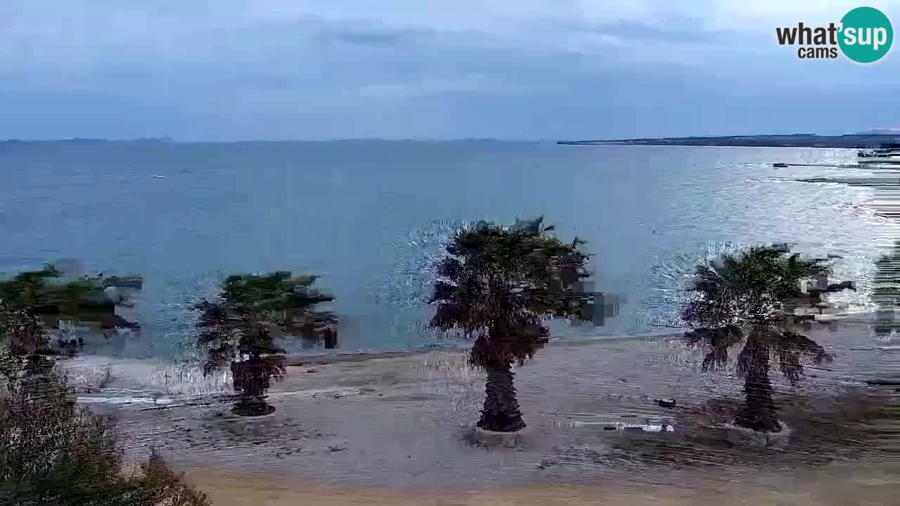 Webcam Vir – Strand