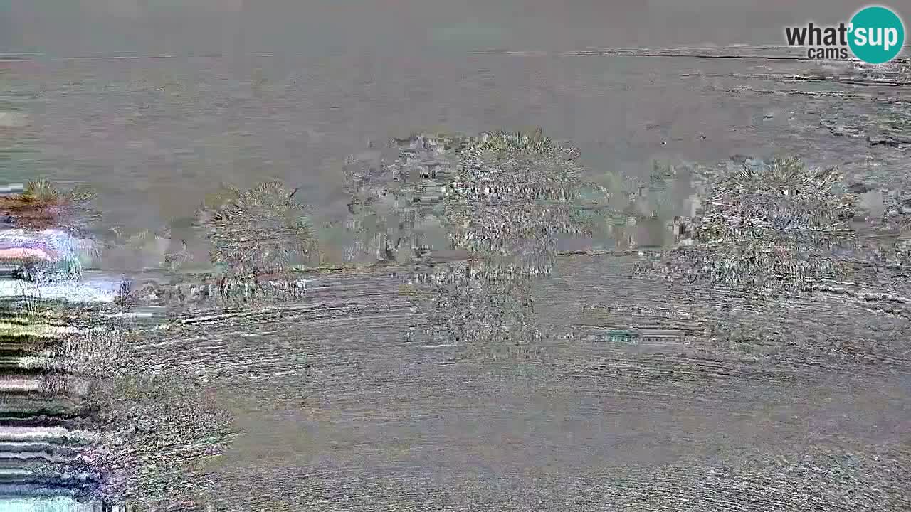 Camera en vivo Vir – Playa