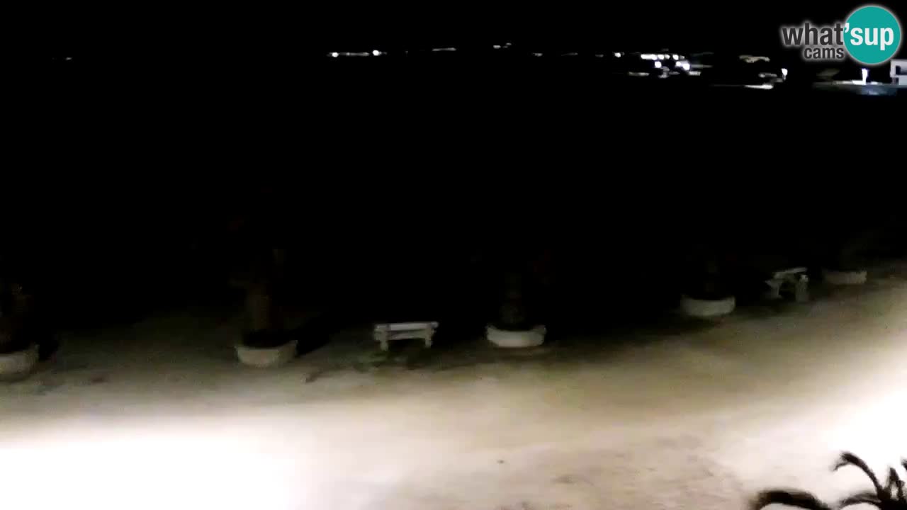 Live cam Vir – Plage