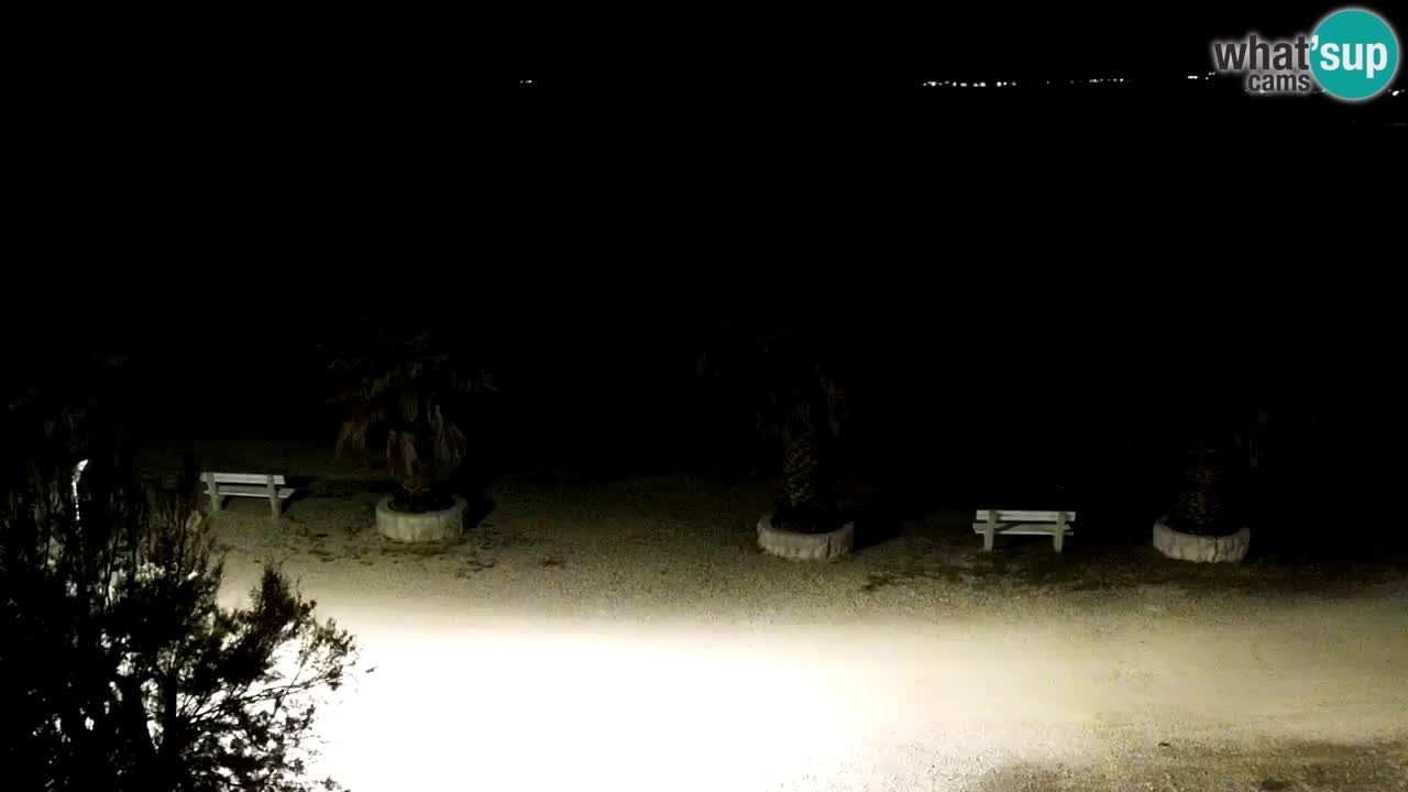Live cam Vir – Plage