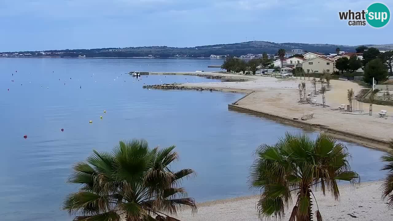 Live cam Vir – Plage