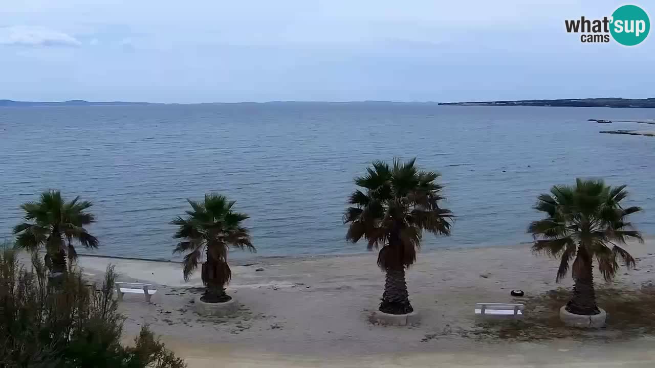 Live cam Vir – Plage