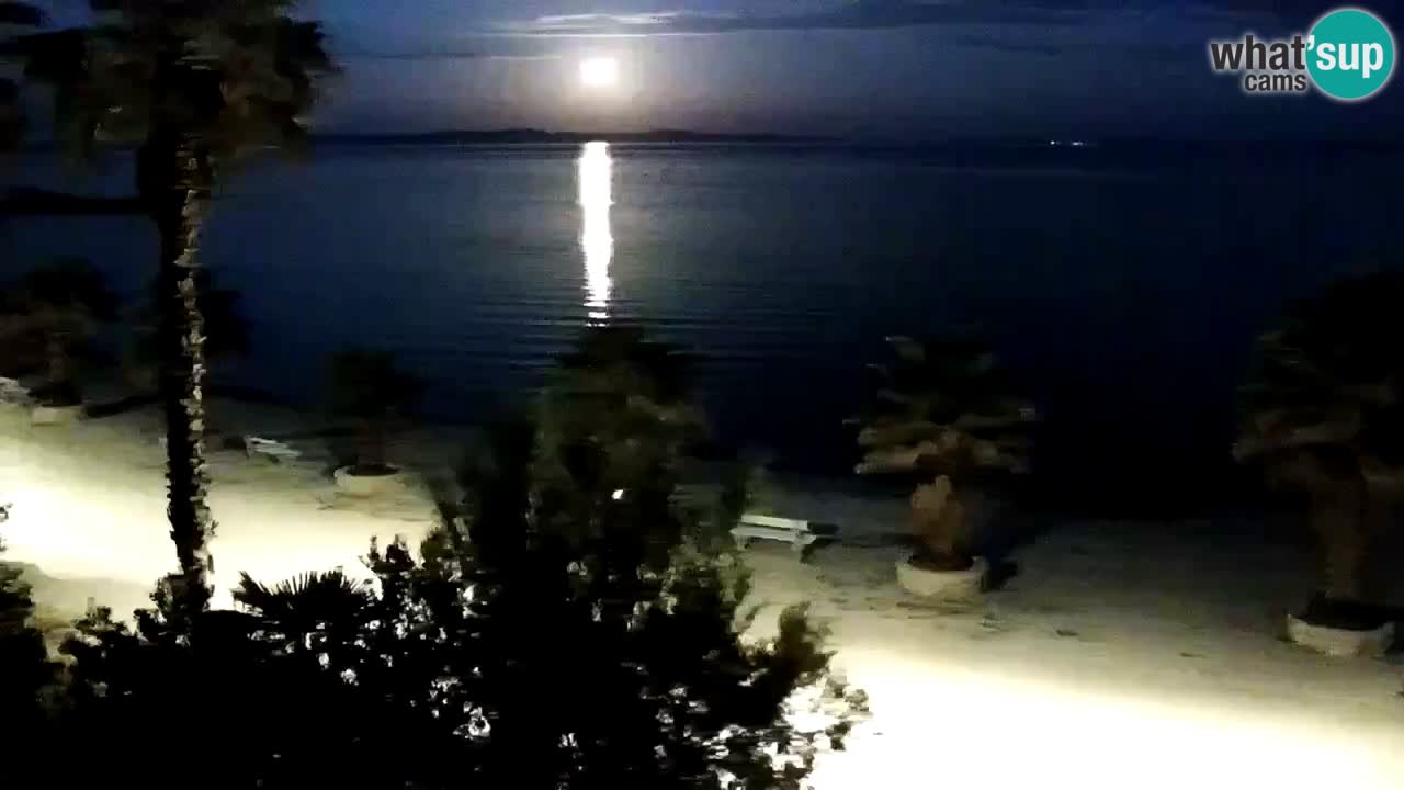 Live cam Vir – Plage
