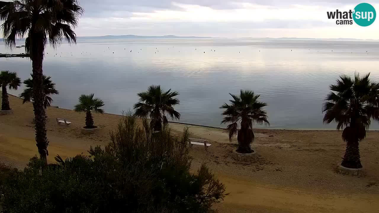 Webcam Vir – Strand