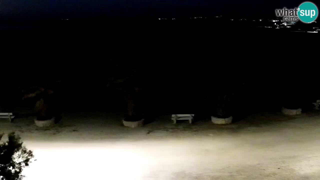 Kamera v živo Vir – Plaža