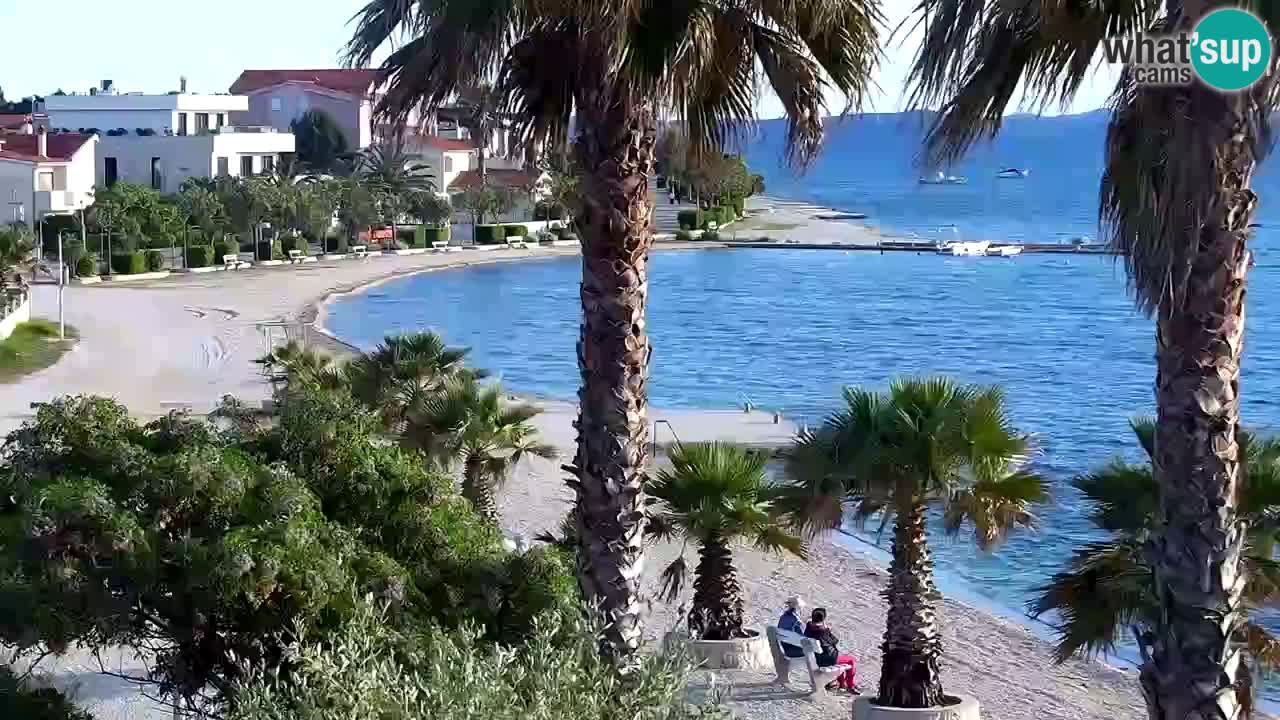 Live cam Vir – Plage