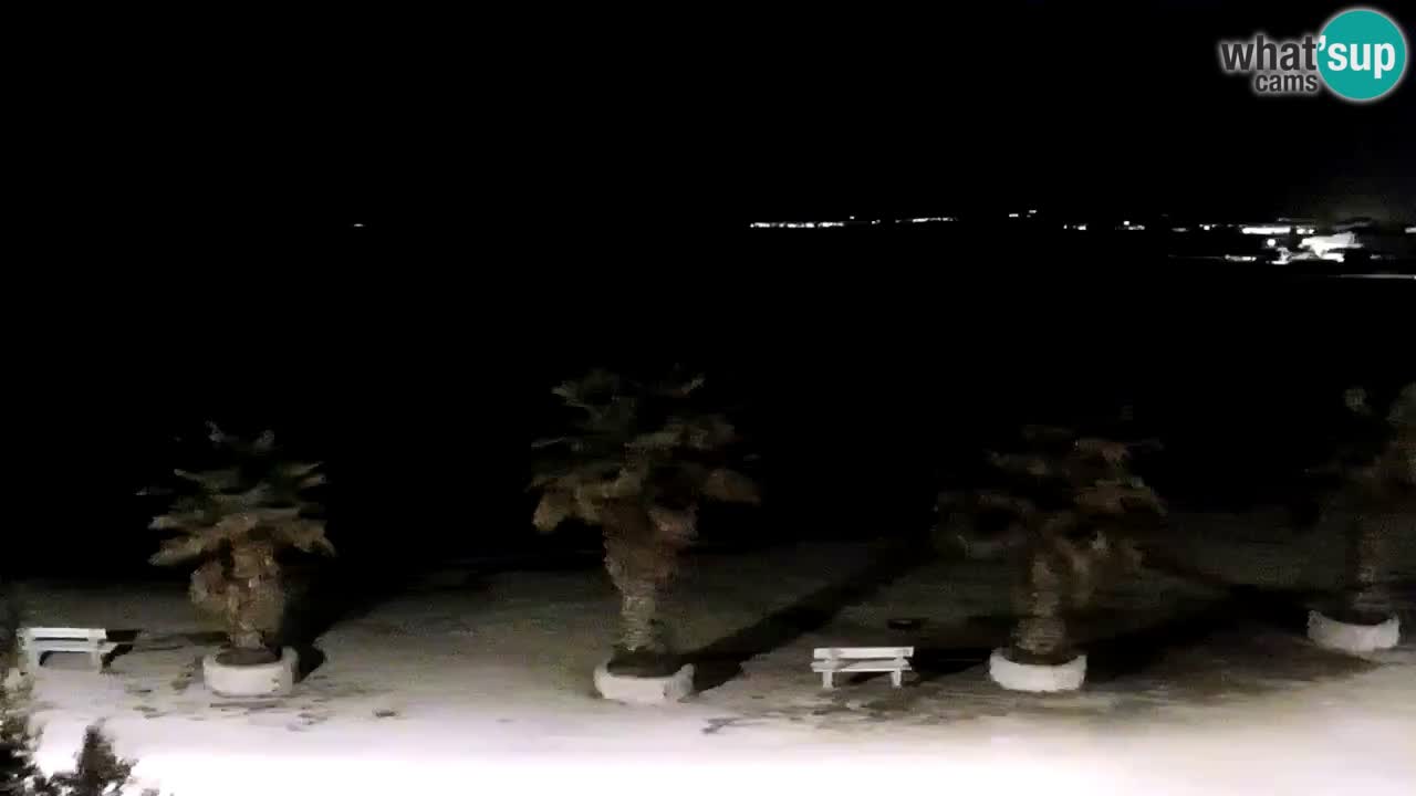 Livecam Vir beach – Dalmatia