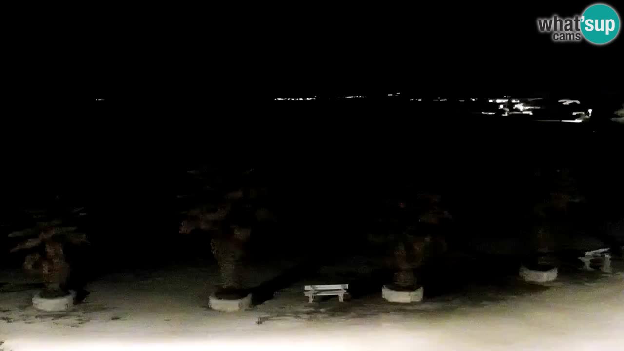 Live cam Vir – Plage