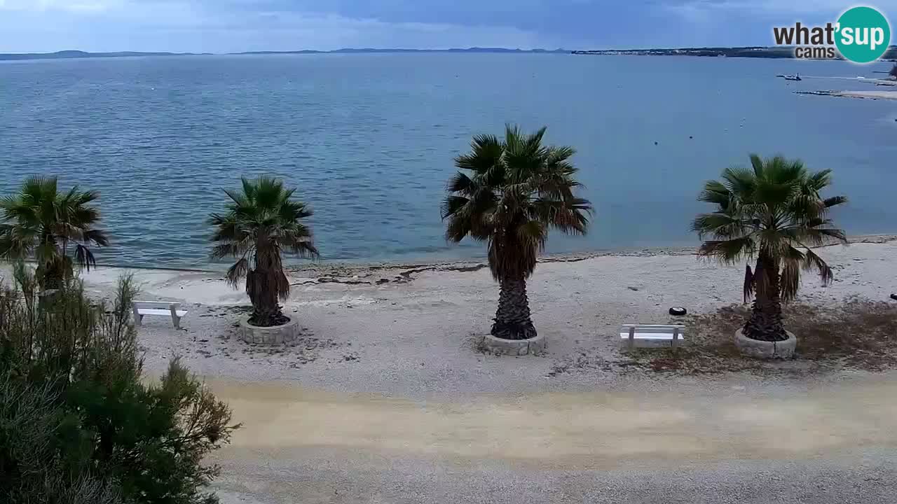 Live cam Vir – Plage