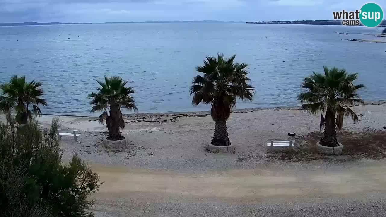Web kamera Vir – Plaža