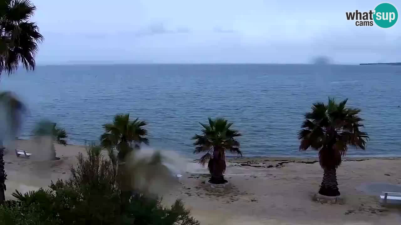Live cam Vir – Plage