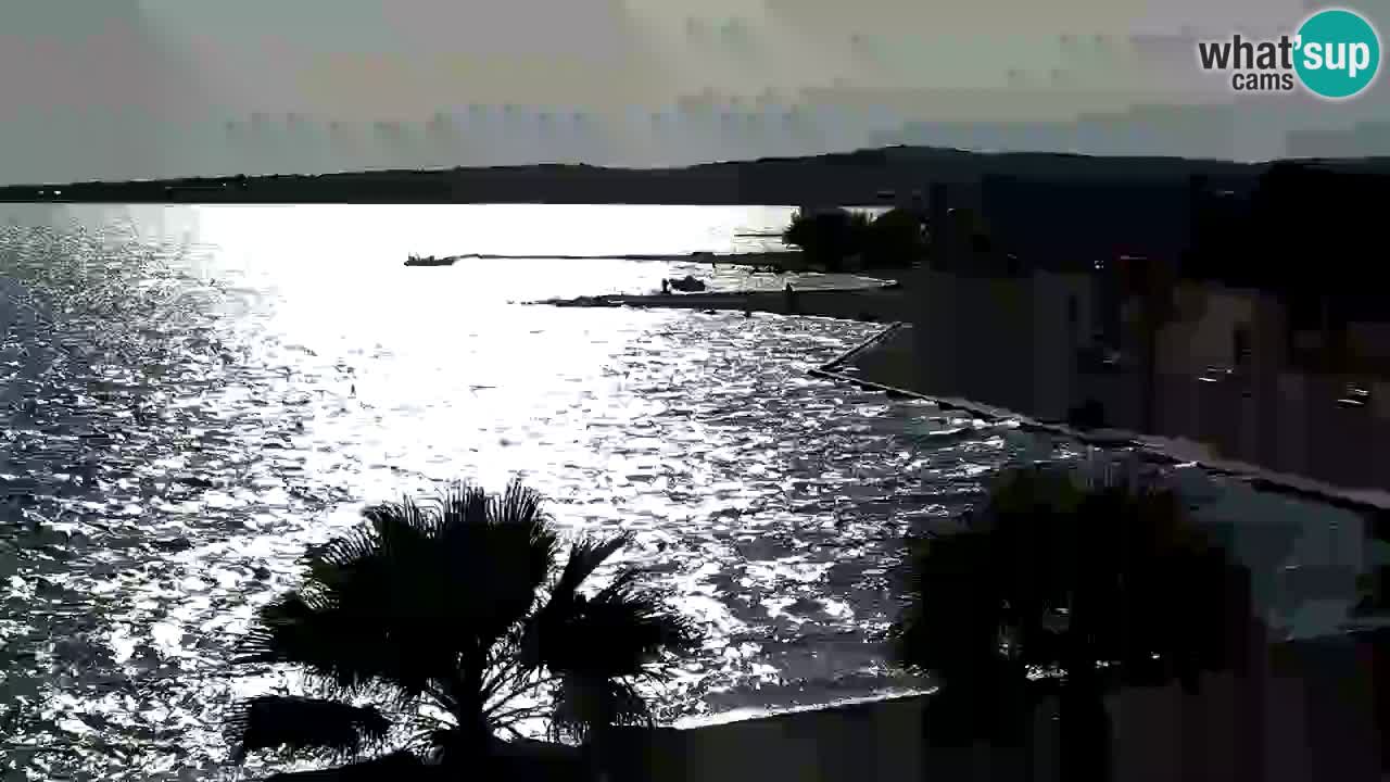 Webcam Vir – Spiaggia