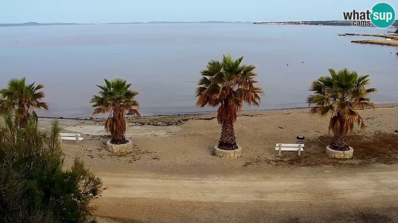 Web kamera Vir – Plaža
