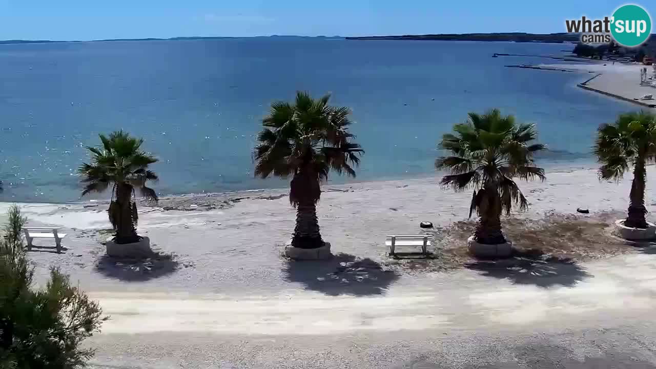 Live cam Vir – Plage