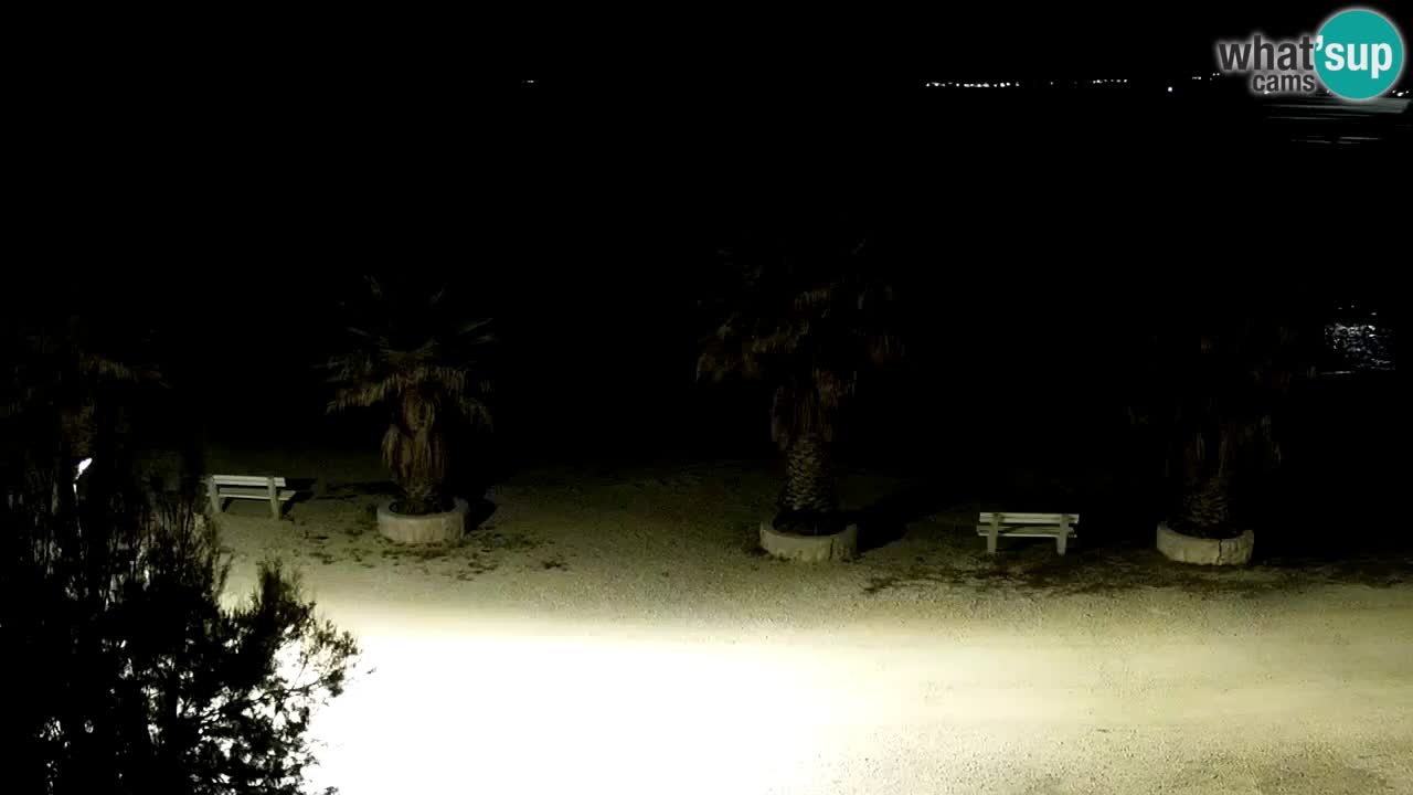 Webcam Vir – Strand