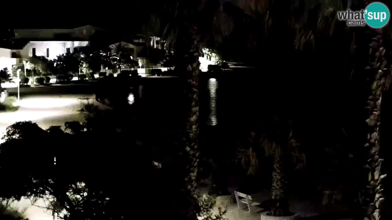 Kamera v živo Vir – Plaža