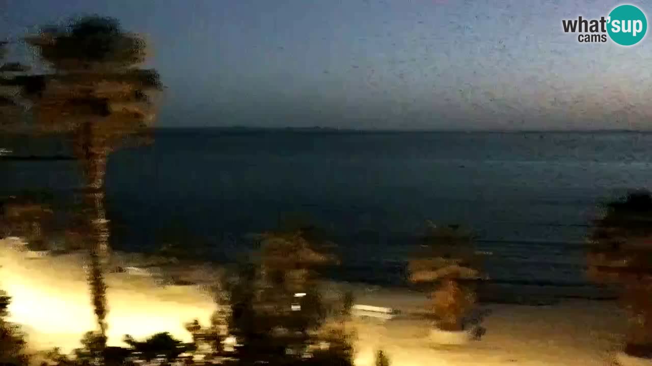 Kamera v živo Vir – Plaža