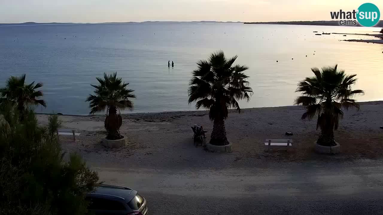 Live cam Vir – Plage