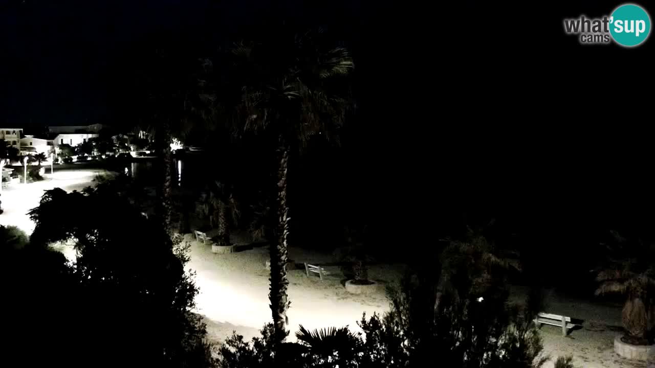 Livecam Vir beach – Dalmatia