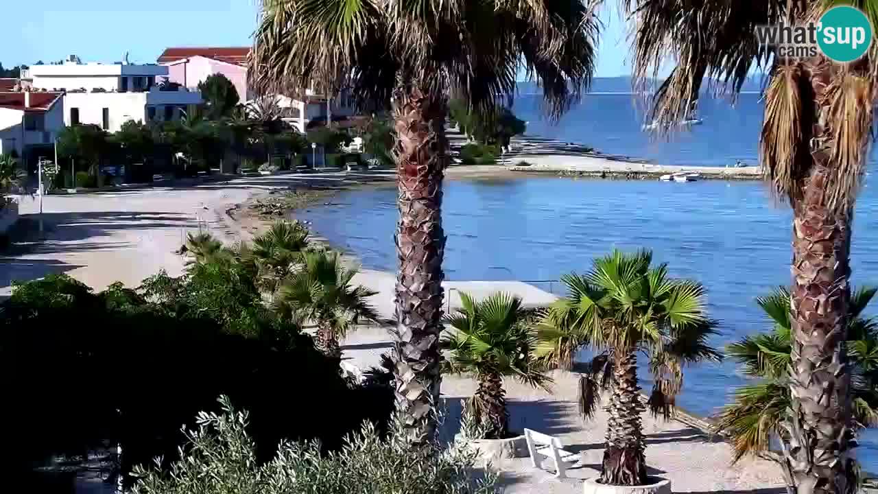 Live cam Vir – Plage