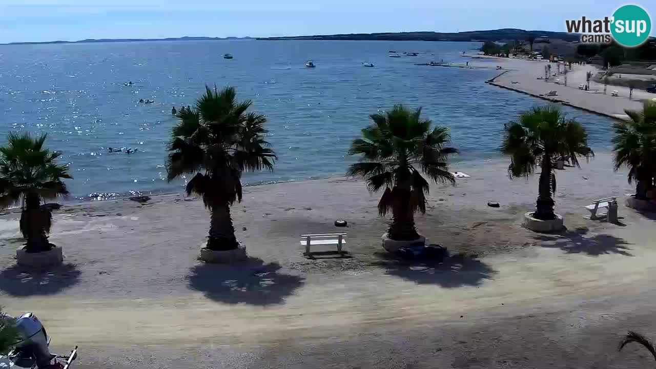Live cam Vir – Plage