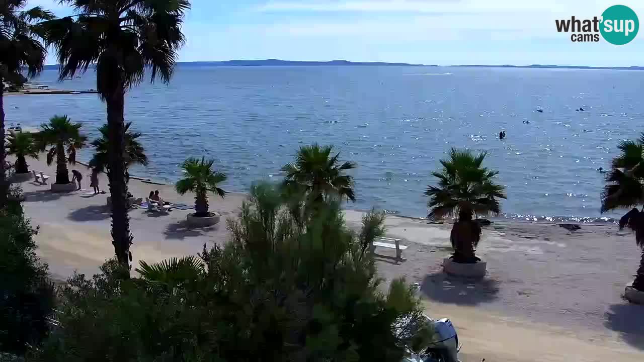 Live cam Vir – Plage