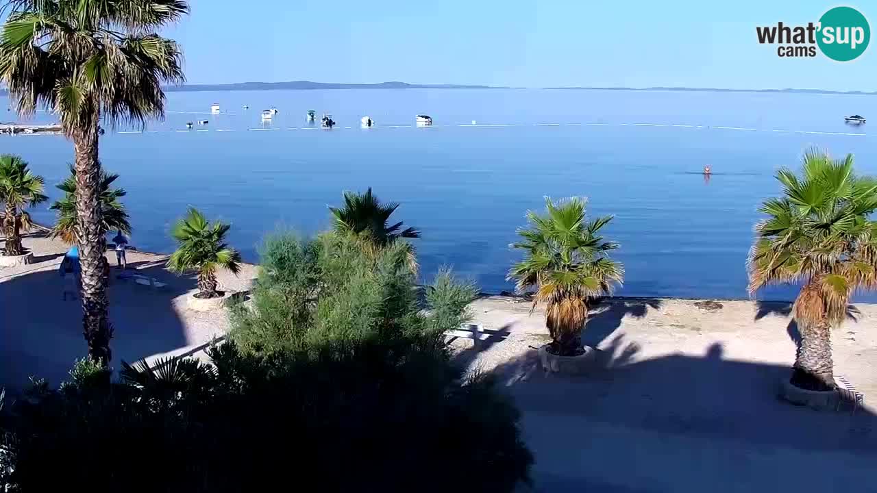 Kamera v živo Vir – Plaža