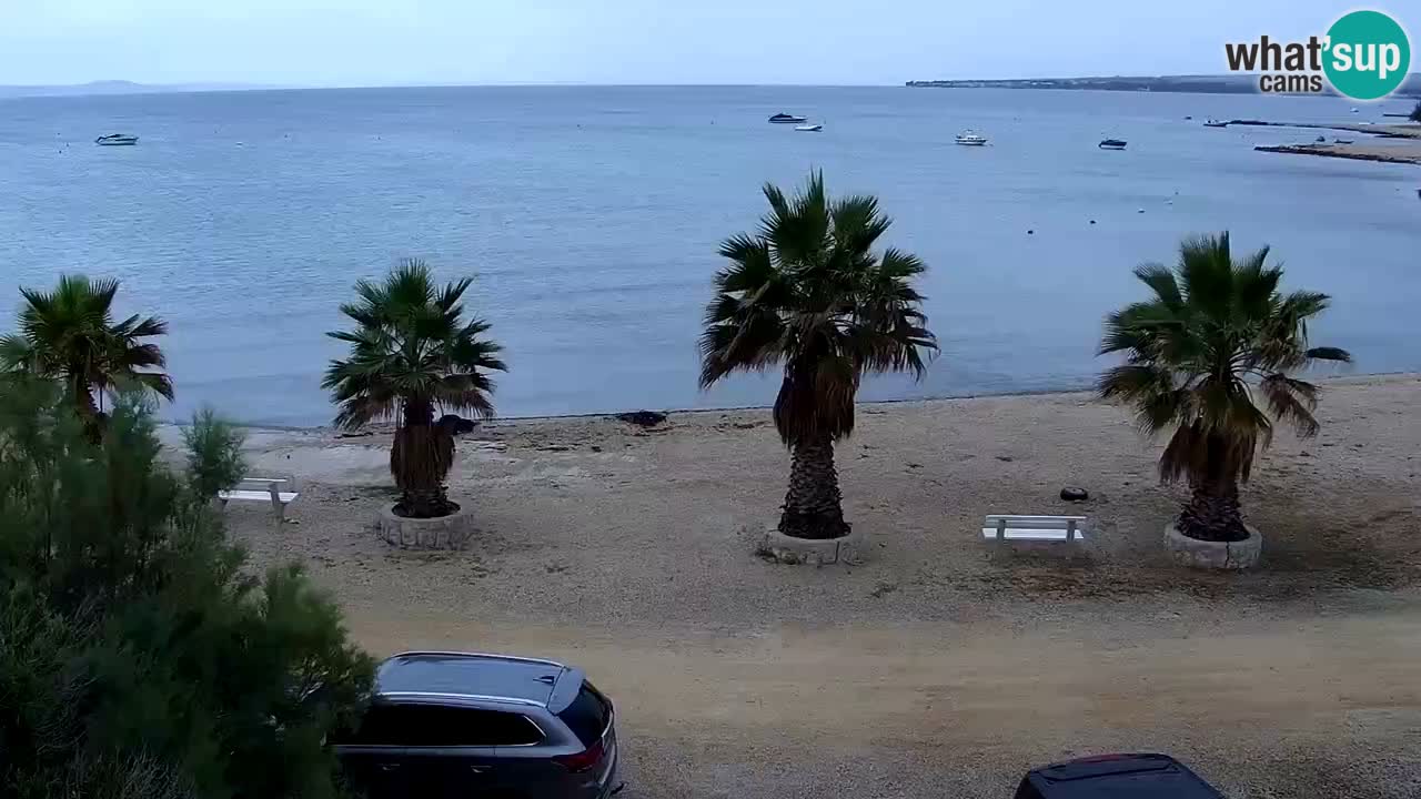 Webcam Vir – Strand