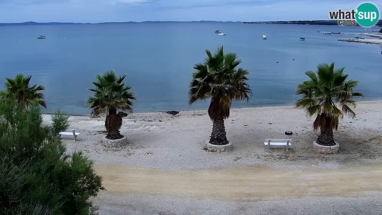 Live cam Vir – Plage