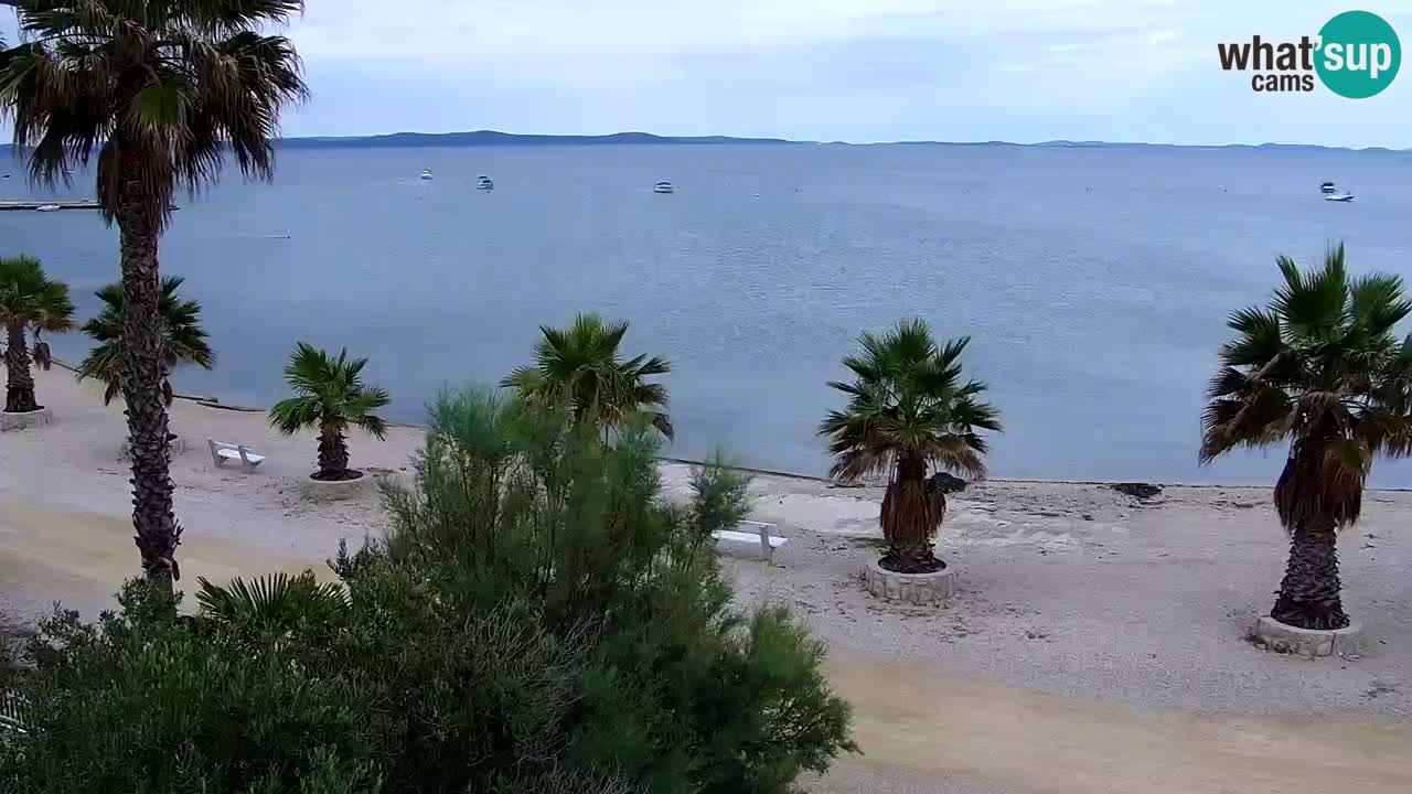 Webcam Vir – Strand