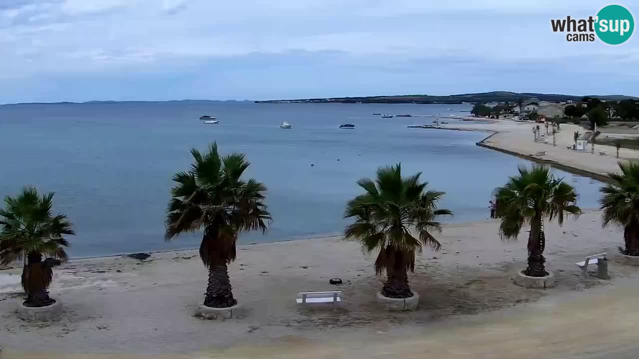 Live cam Vir – Plage