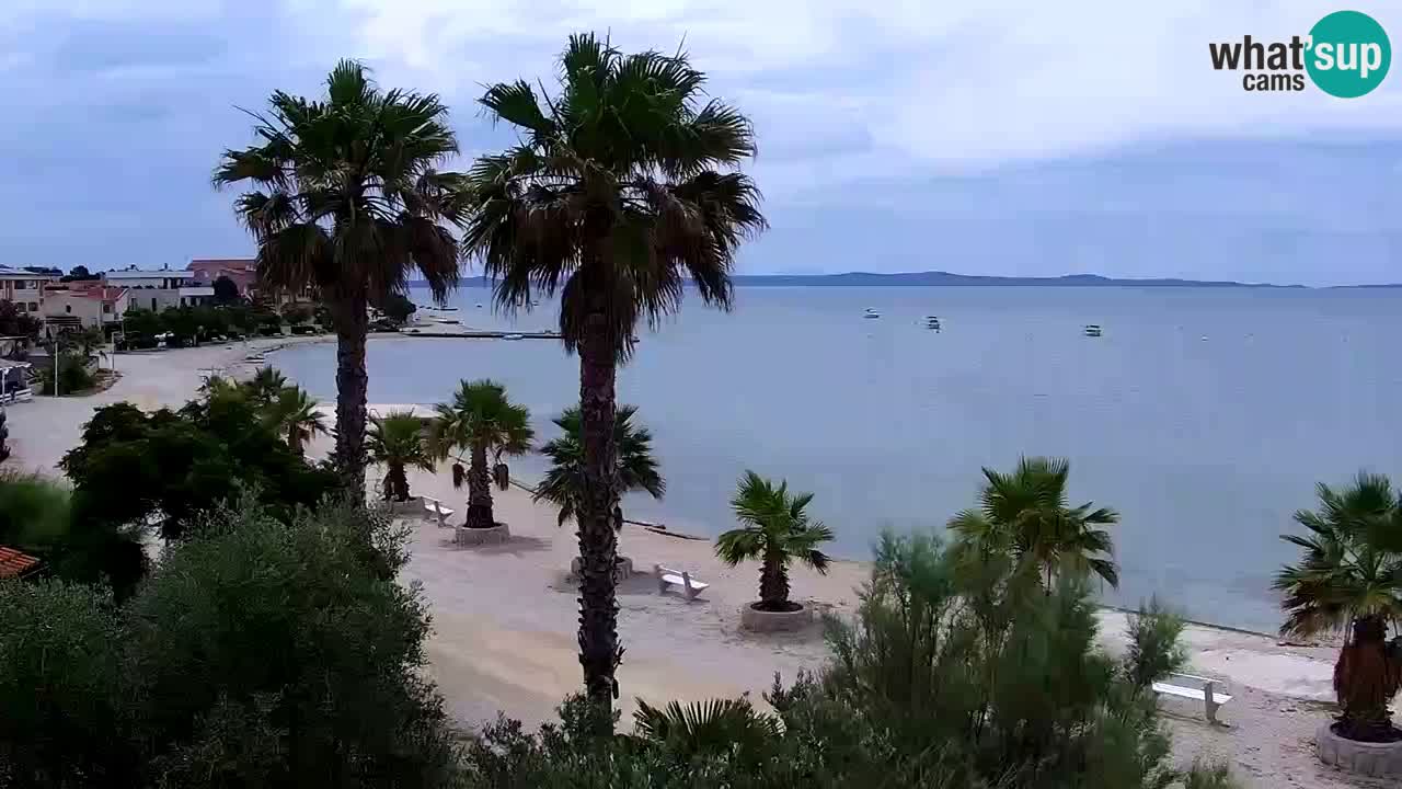 Live cam Vir – Plage