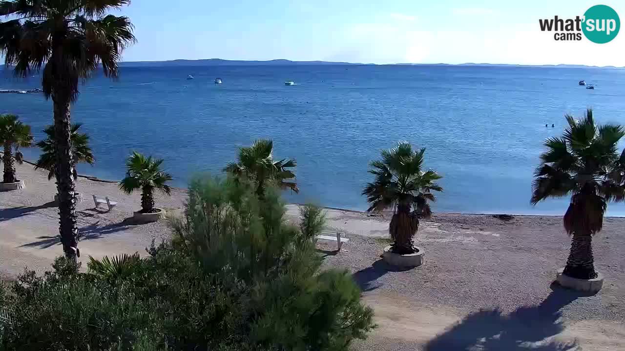 Live cam Vir – Plage