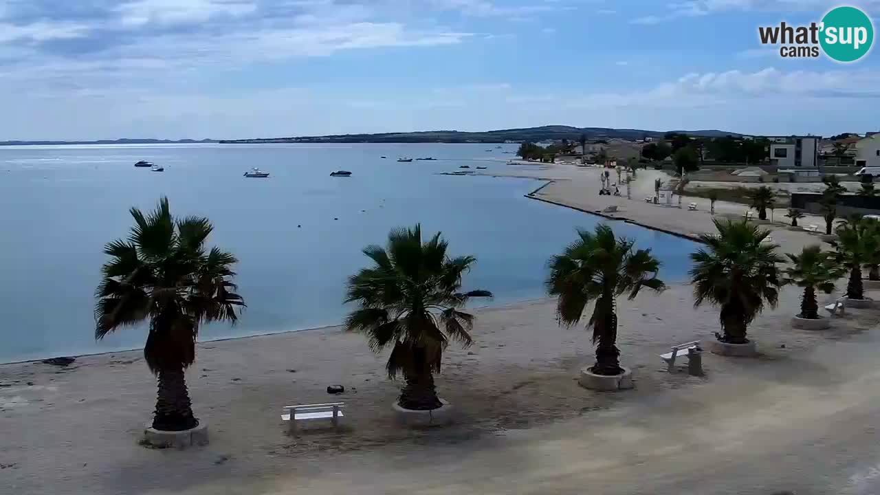 Live cam Vir – Plage