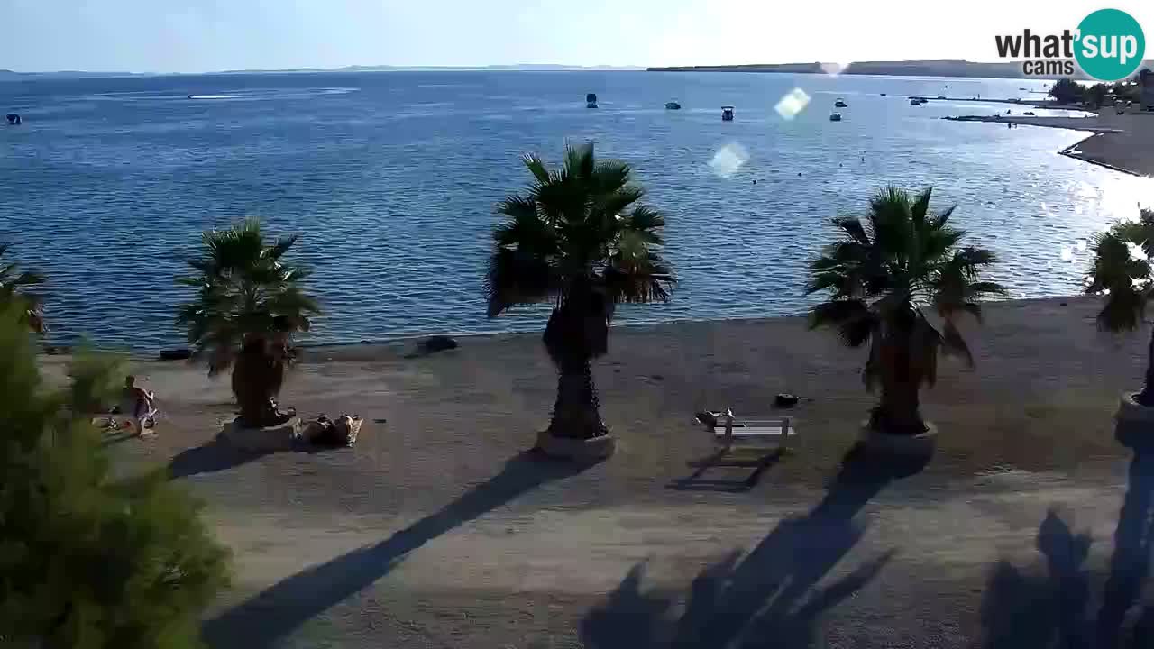 Live cam Vir – Plage