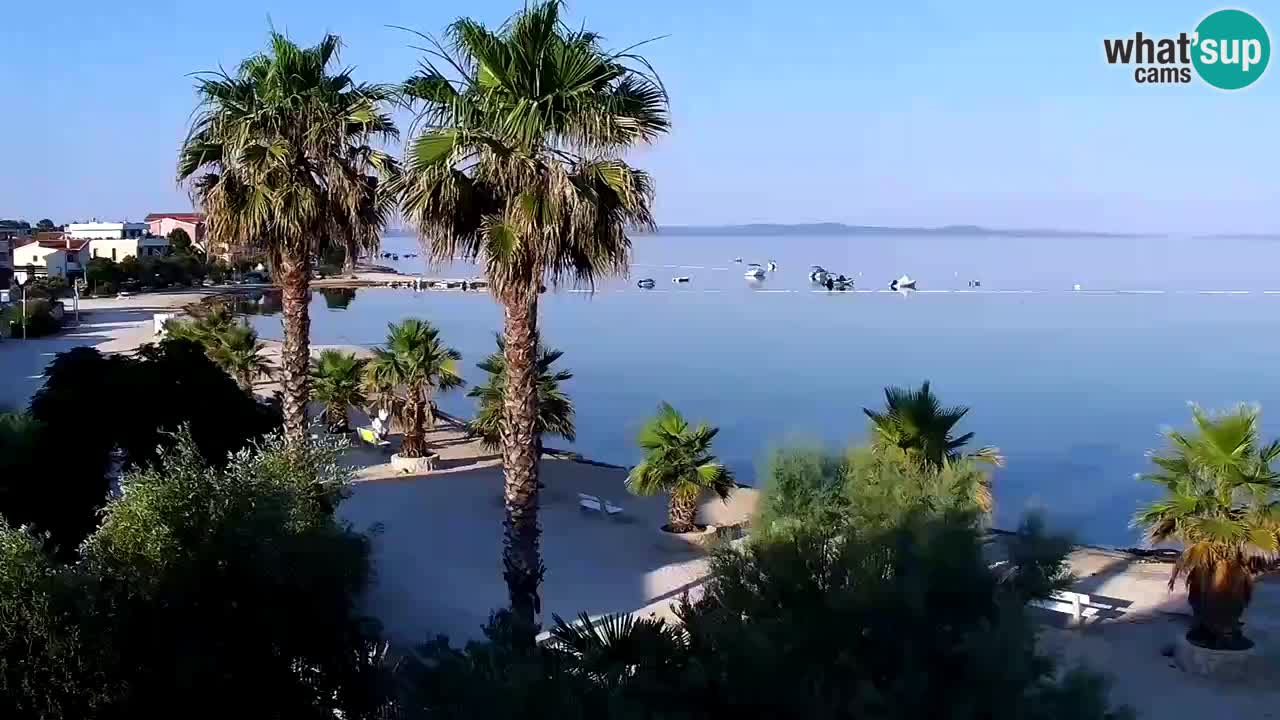 Live cam Vir – Plage