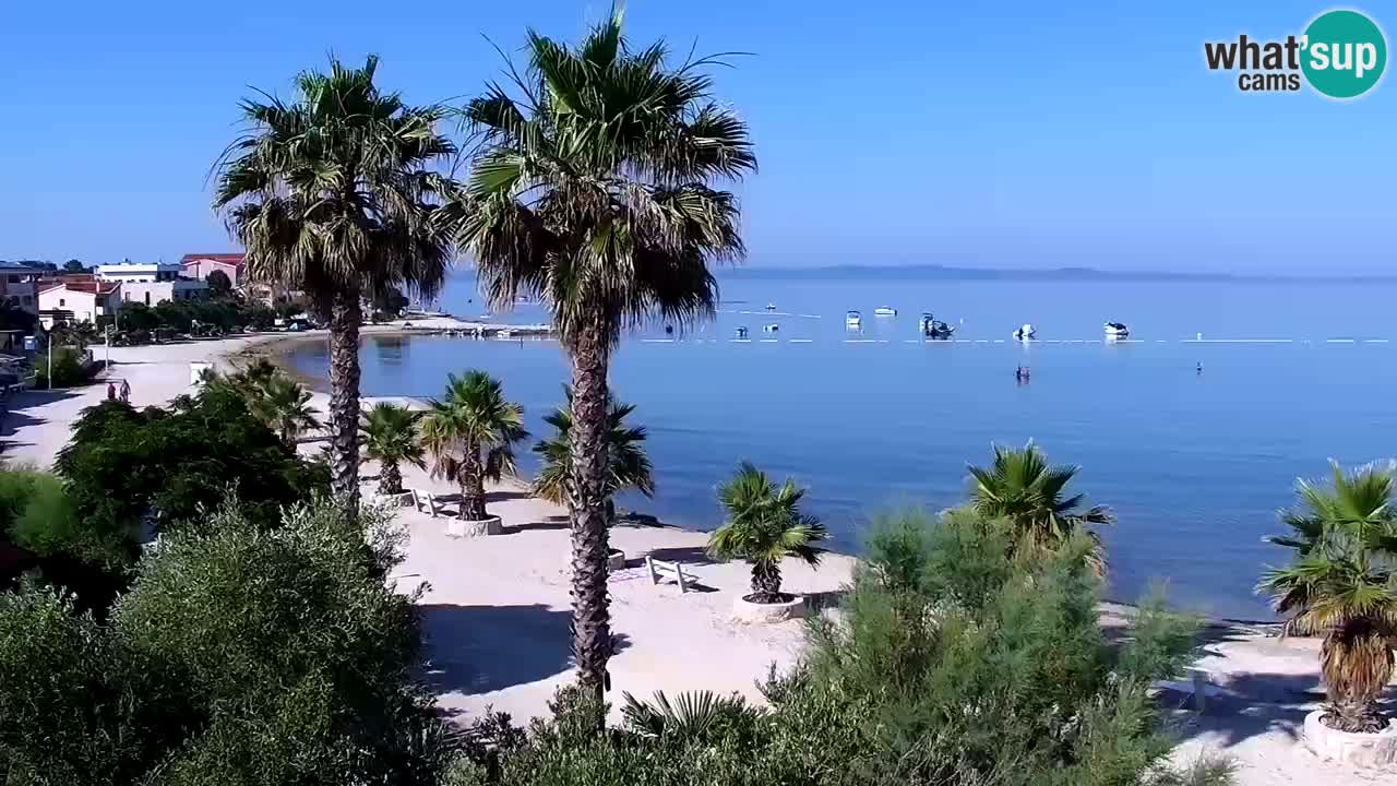 Live cam Vir – Plage