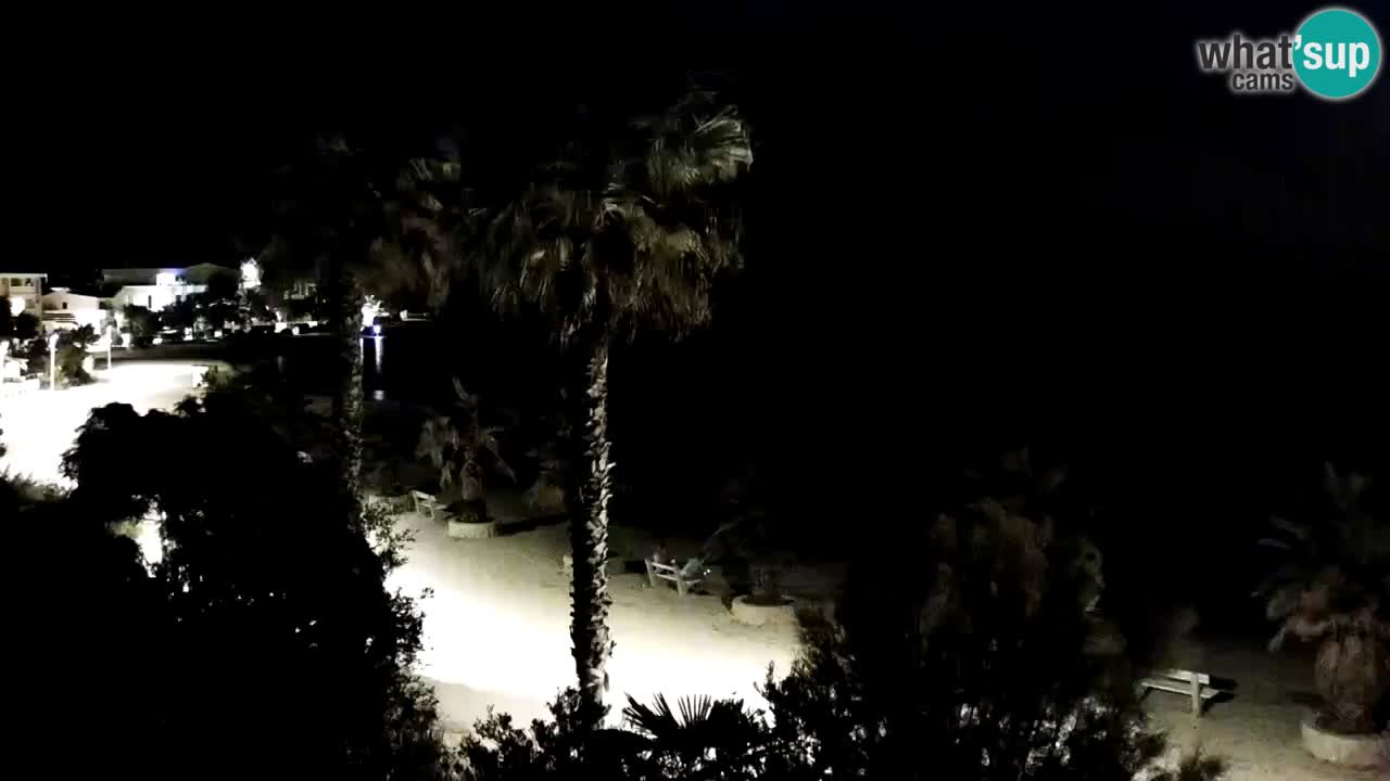 Live cam Vir – Plage