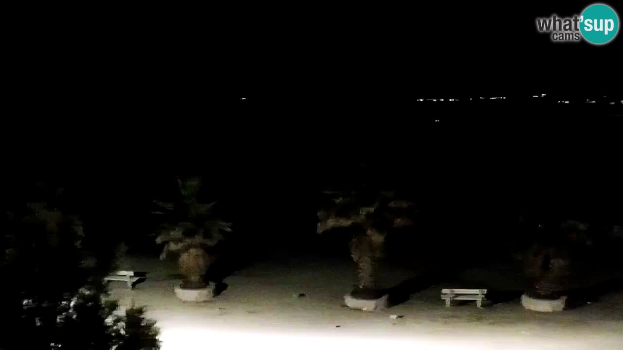 Live cam Vir – Plage