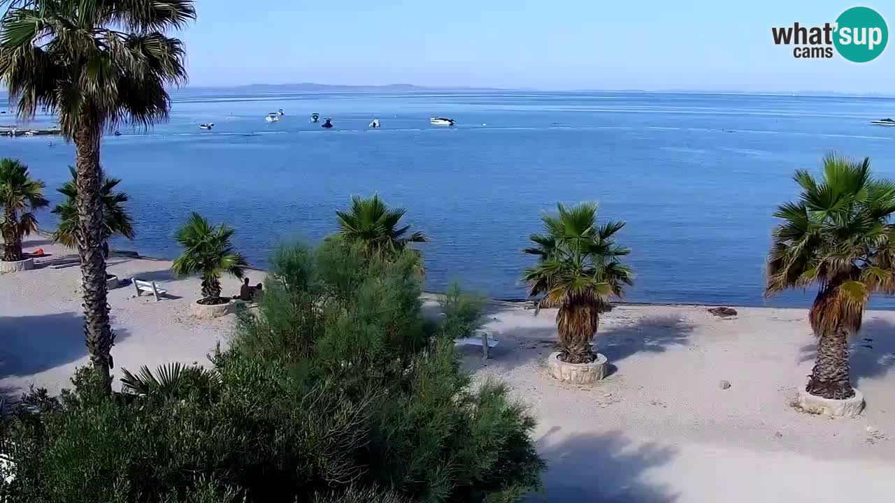 Live cam Vir – Plage