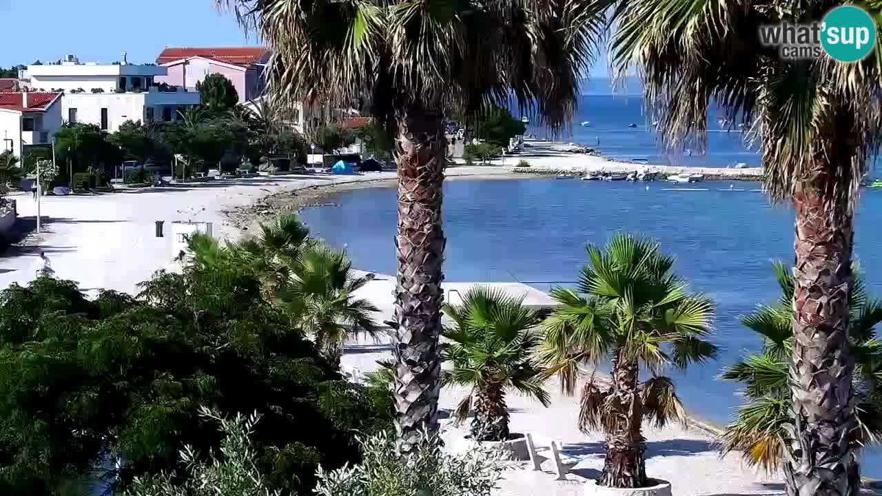 Live cam Vir – Plage
