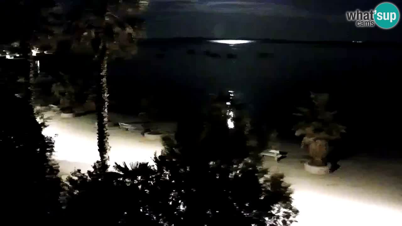 Kamera v živo Vir – Plaža
