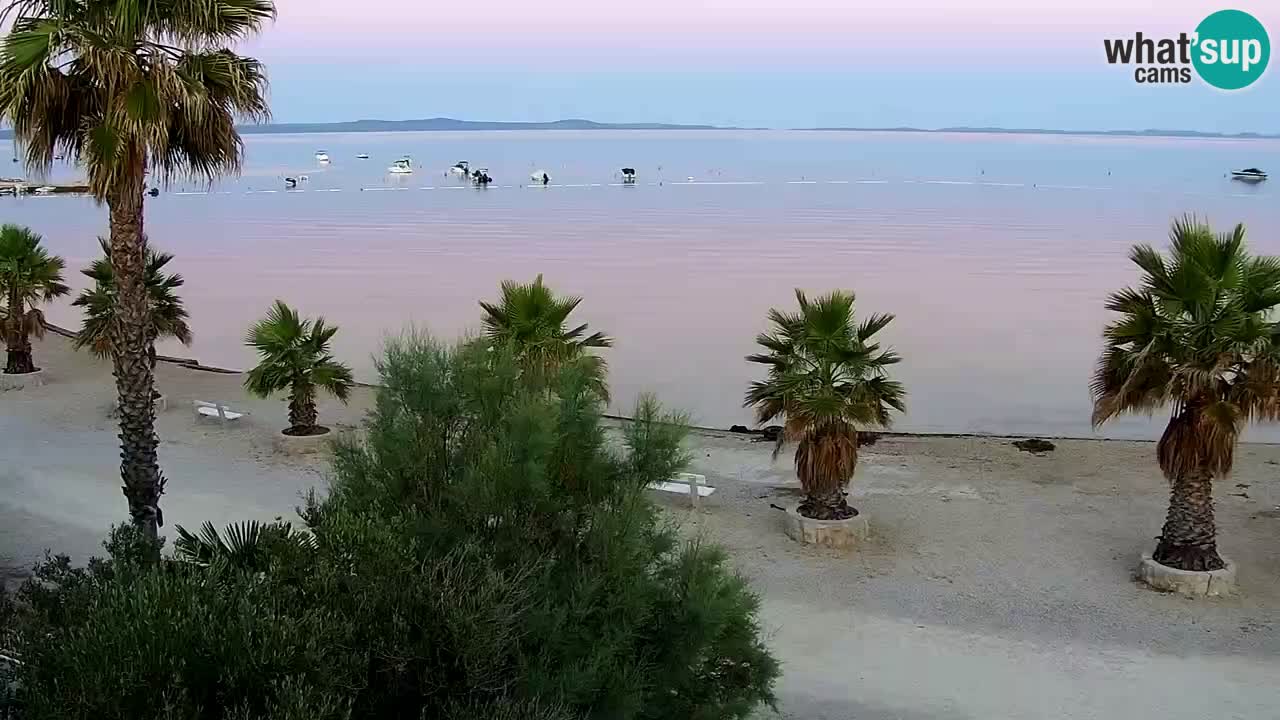Web kamera Vir – Plaža