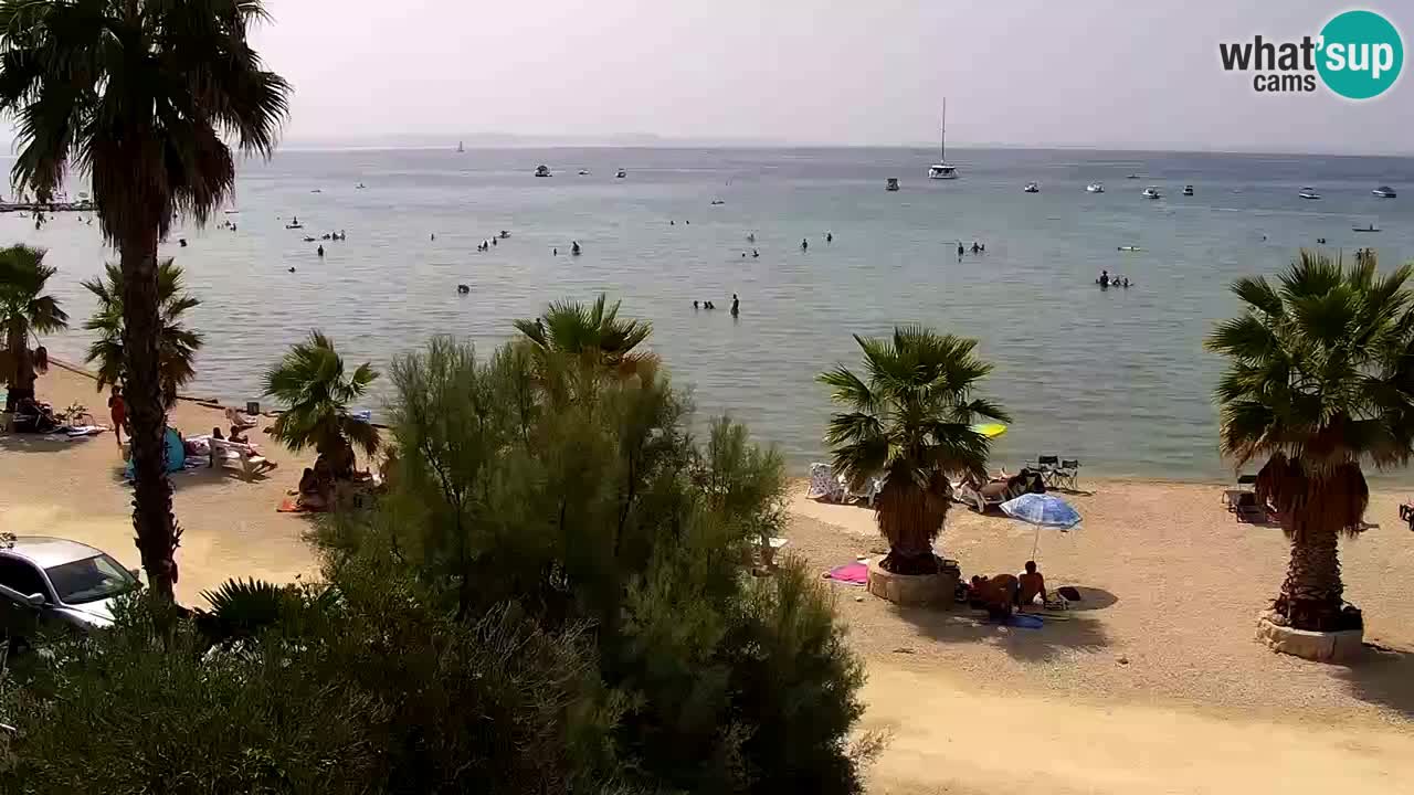 Livecam Vir beach – Dalmatia