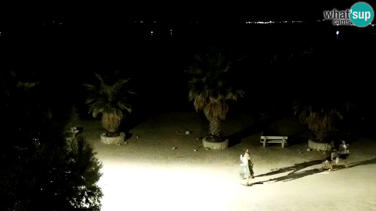 Livecam Vir beach – Dalmatia