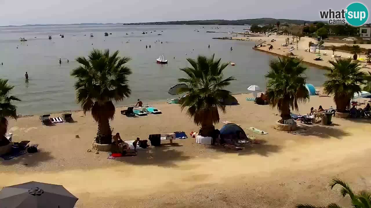 Livecam Vir beach – Dalmatia